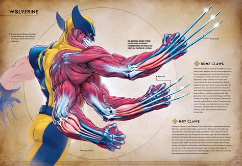 how tall is wolverine in the comics - what if wolverine's claws could be used as a measuring tool?