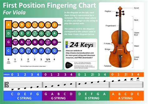 How to Read Viola Sheet Music: A Comprehensive Guide with Insights